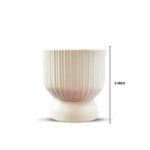 Bonsai Snake Plant Ceramic Pot - Image 3