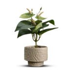 Bonsai Orchid Ceramic Pot - Image 3