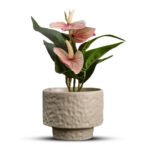 Bonsai Orchid Ceramic Pot - Image 2