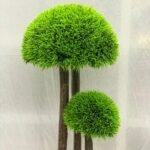 Ball Grass Big Muskmelo 10 Plastic Pot - Image 3