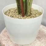 Bird Leaf Sunny 10 Pot - Image 2