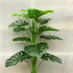 Monster 15 Leaf With Cog Wheel pot - Image 2