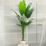 Single Vaazha Diamond 7 Pot