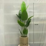 Vaazha 8 Stick Gallery 12 Sand Stone Polymer Pot