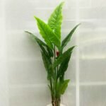 Bird Leaf Sunny 10 Pot - Image 3