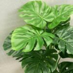 Monster 15 Leaf With Cog Wheel pot - Image 3