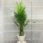 Palm Tree Big 17 Leaf Ring 13 Pot