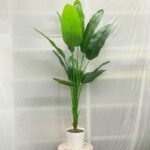 Single Vaazha Diamond 7 Pot - Image 3