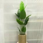 Vaazha 15 Stick Gallery 15 Sand Stone Polymer Pot - Image 3