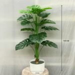 Monster 15 Leaf With Cog Wheel pot