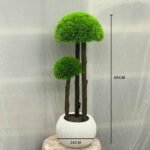 Ball Grass Big Muskmelo 10 Plastic Pot