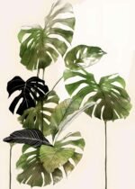 Wall Frame VB 21 29 PN4045 - Image 2