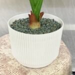 Monster 15 Leaf With Cog Wheel pot - Image 5