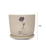 Bonsai Valli Pacha Plant Ceramic Pot - Image 10