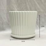 Cb Ceramic Pot White Saucer With Line