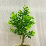 Bonsai Dekorly Plant Ceramic Pot - Image 5