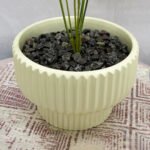 Bonsai Dekorly Plant Ceramic Pot - Image 4
