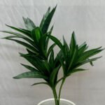 Bonsai Snake Plant Ceramic Pot - Image 8