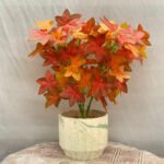 Bonsai Red Star Plant Ceramic Pot - Image 3