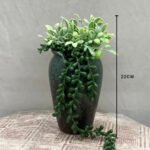 Bonsai Money Plant Valli Ceramic Pot