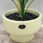 Bonsai Areca Palm Ceramic Pot - Image 3