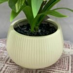 Bonsai Baby Plant Ceramic Pot - Image 4