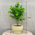 Bonsai Dekorly Plant Ceramic Pot