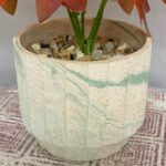 Bonsai Red Star Plant Ceramic Pot - Image 4