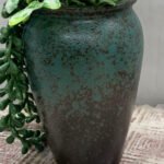 Bonsai Money Plant Valli Ceramic Pot - Image 4