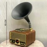 Vintage Blue Tooth Speaker