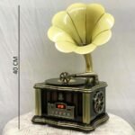 Vintage Grama Hone Bluetooth Speaker