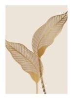 Wall Frame K2 368 PN5013/014/015 - Image 3