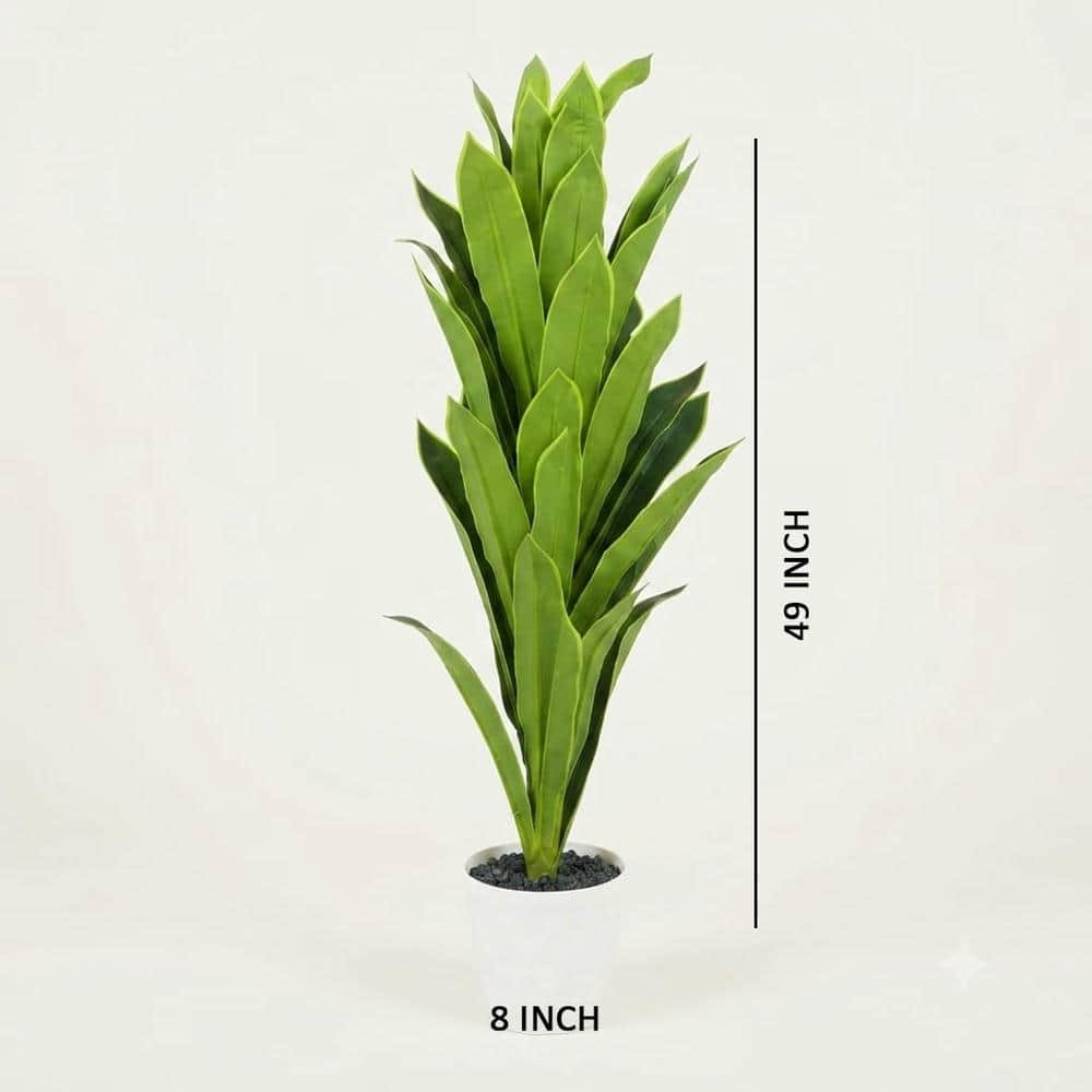 6427 E 4716 6035 Plant - Image 1
