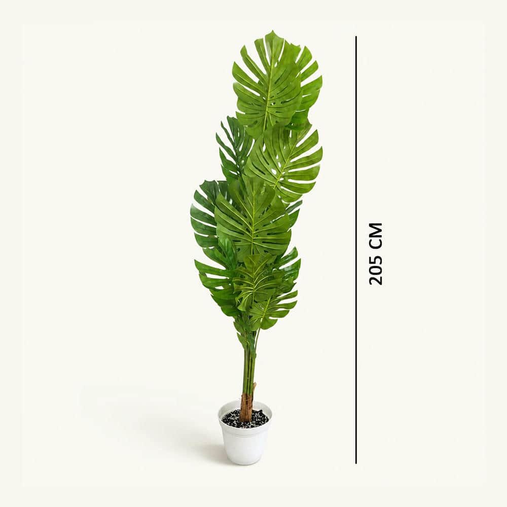 arti treees-0001 Monster Leaf XL ,13 Leaf 2 Meter With Aura Pot 10" - Image 1