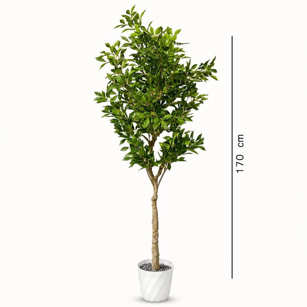 arti treees-15 E 7407 6035 Plant - Image 1