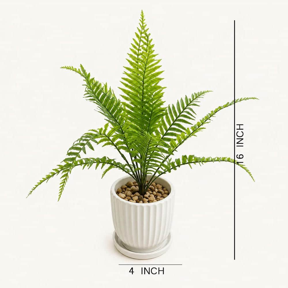 bunsai .4 E 7441 7989 Bonsai With Ceramic - Image 1