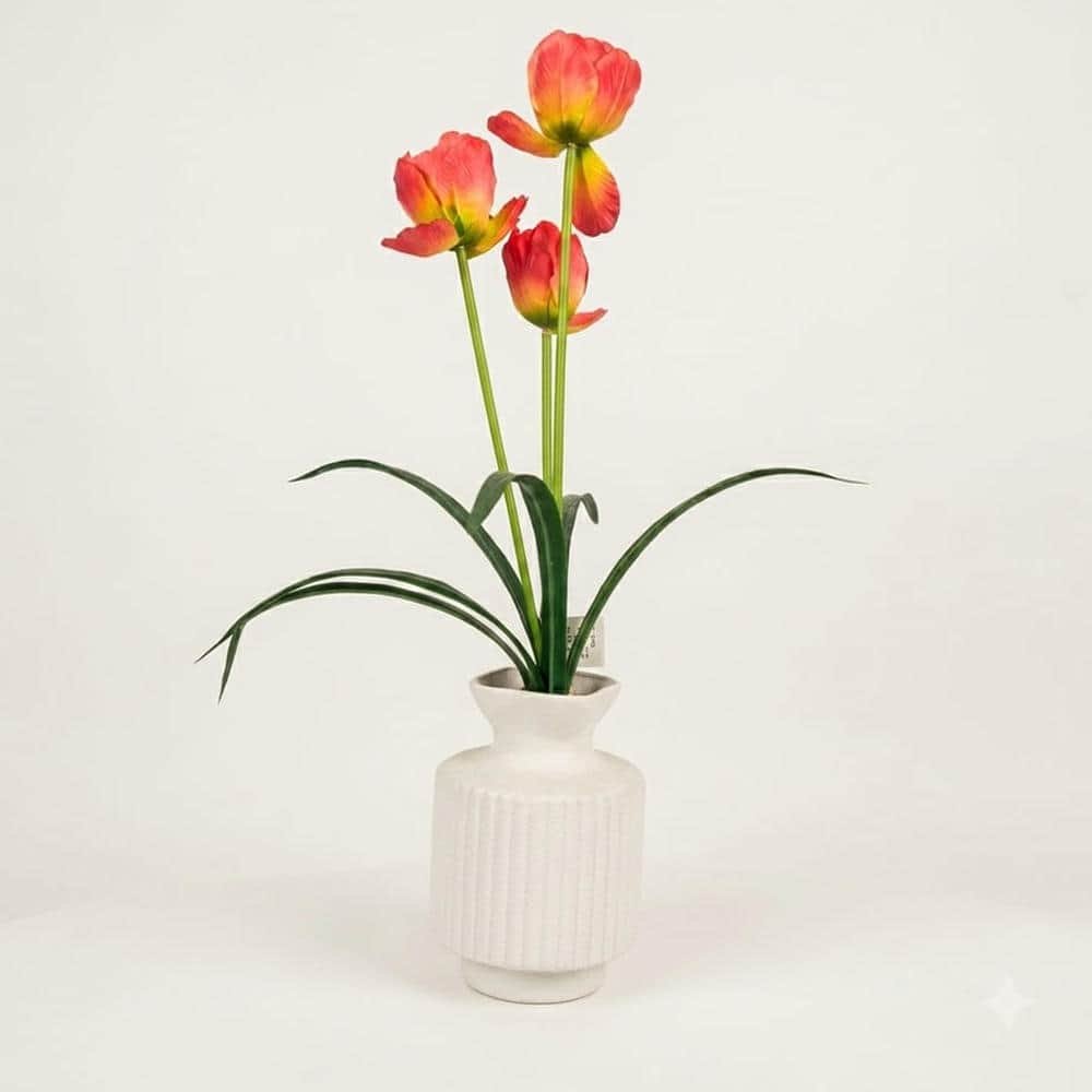 7236-0 E 7175 6005 Plant - Image 1